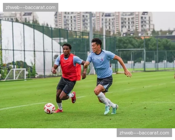 申花三大核心伤愈在即 间歇期后阵容有望恢复完整