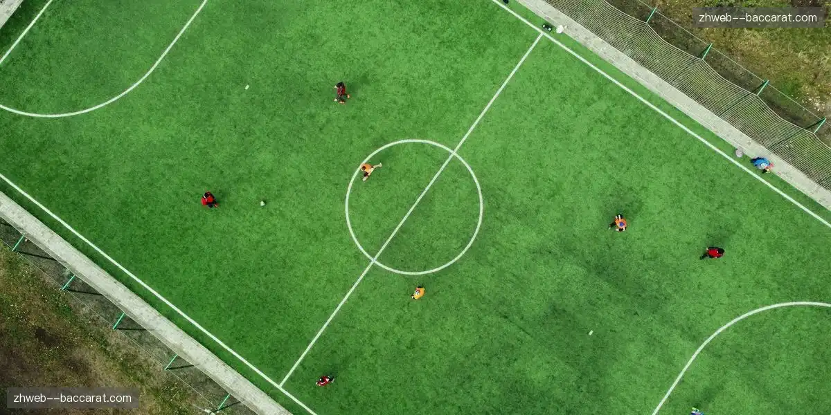 专业化赛事管理 提升运作效率